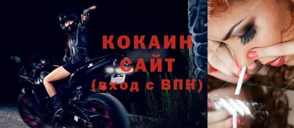 трава Карпинск