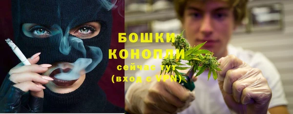 трава Карпинск