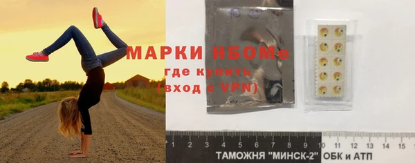 трава Карпинск