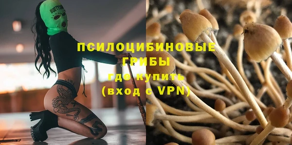 трава Карпинск